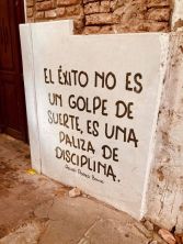exito paliza disciplina.jpg